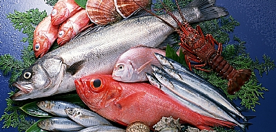 Hangi balığın hangi mevsimde ne zaman yeneceğine dair küçük bilgiler.